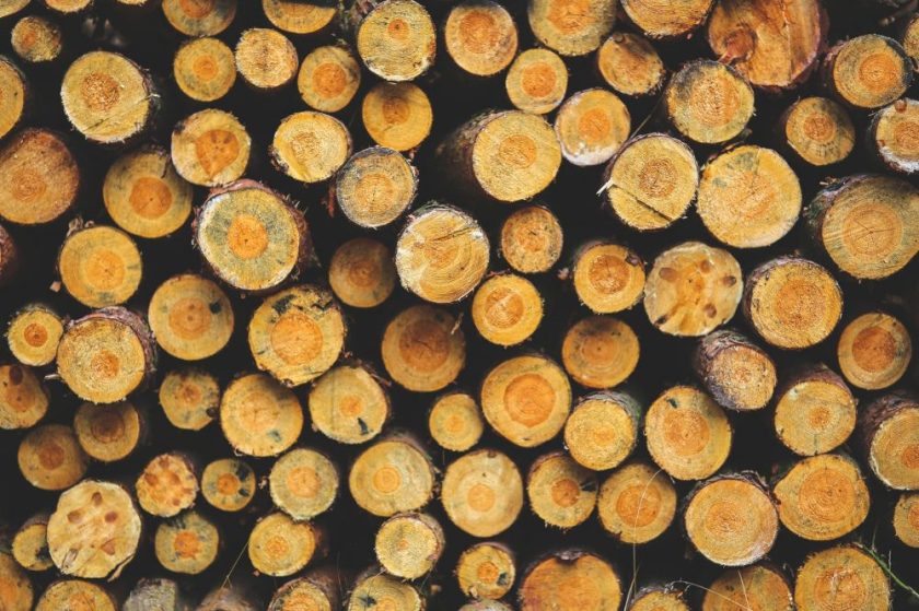 Lumber & Building Products | Arizona | Alliance Lumber